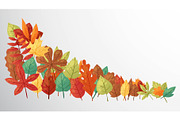 Autumn leaves banner vector