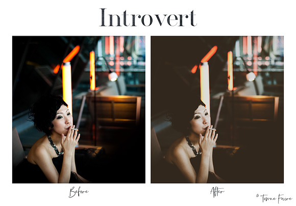 Introvert - Mobile Lightroom Presets in Add-Ons - product preview 2
