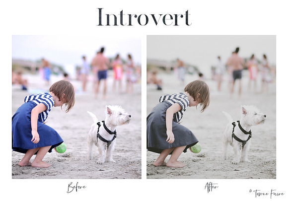 Introvert - Mobile Lightroom Presets in Add-Ons - product preview 4