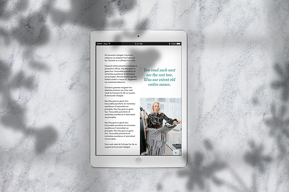 ebook Template with Canva in Magazine Templates - product preview 1