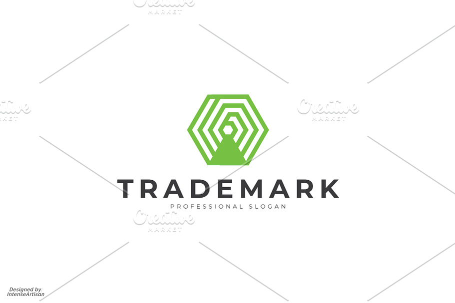 Network Hexagon Logo in Logo Templates - product preview 8