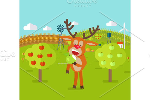 Deer in Garden Eats Apple. Cute