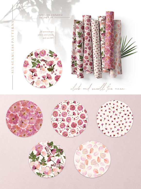 Herbarium vol. 1: Cherry Blossoms in Illustrations - product preview 7