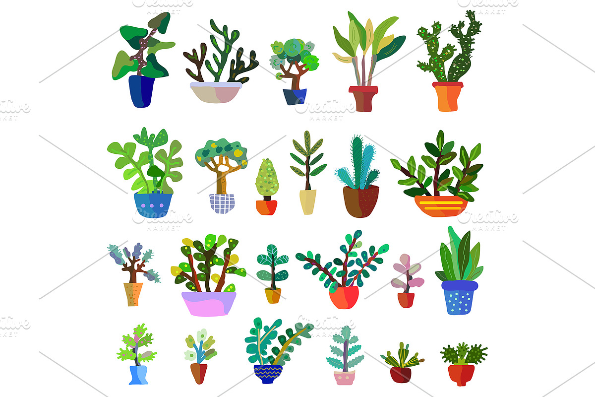 Cactuses and plants set vector in Illustrations - product preview 8