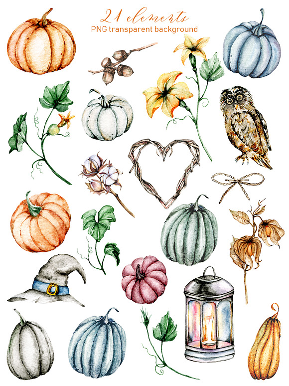 Halloween, autumn set with pumpkins. in Illustrations - product preview 6