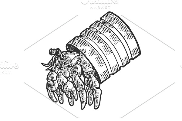 Hermit crab in tin can sketch