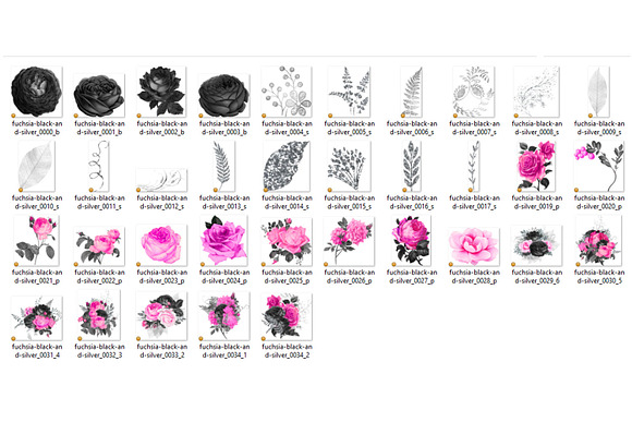 Fuchsia Black & Silver Florals in Illustrations - product preview 2