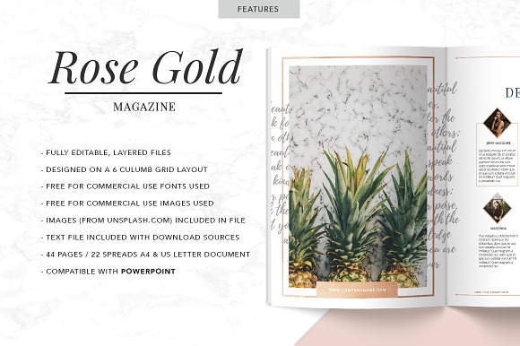 ROSE GOLD Magazine | PPT in PowerPoint Templates - product preview 1