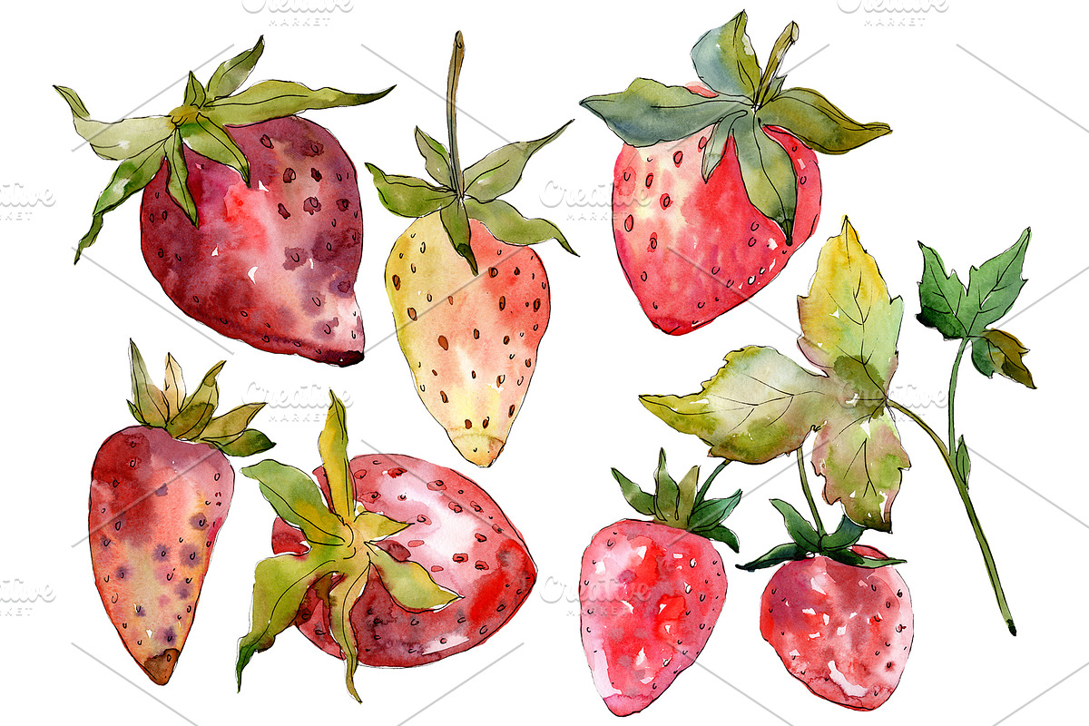 Strawberry "Kimberly" watercolor png in Illustrations - product preview 8
