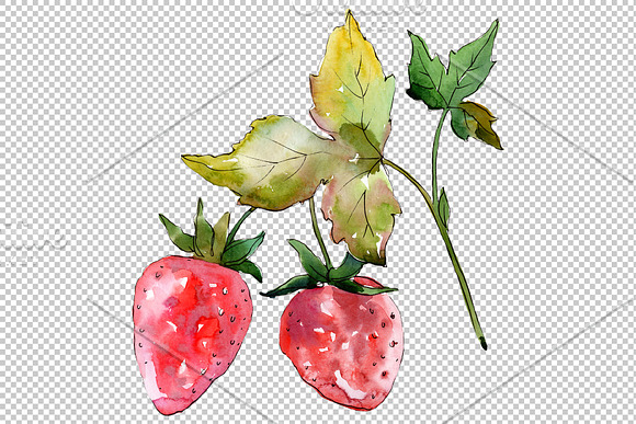 Strawberry "Kimberly" watercolor png in Illustrations - product preview 1