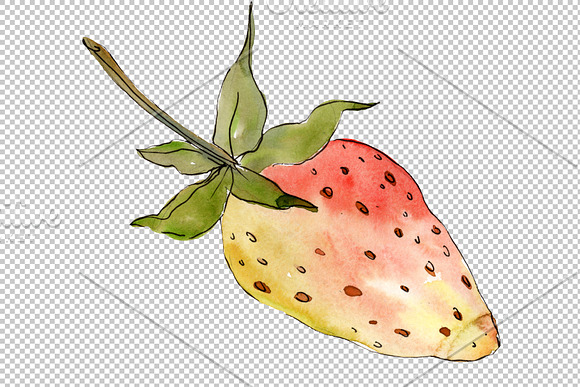 Strawberry "Kimberly" watercolor png in Illustrations - product preview 3