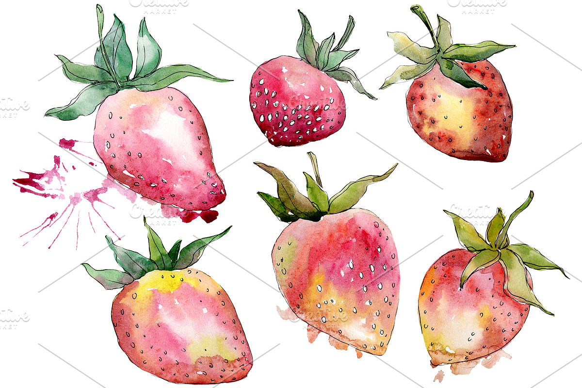 Strawberry "Gigantella" watercolor in Illustrations - product preview 8