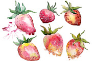 Strawberry "Gigantella" watercolor