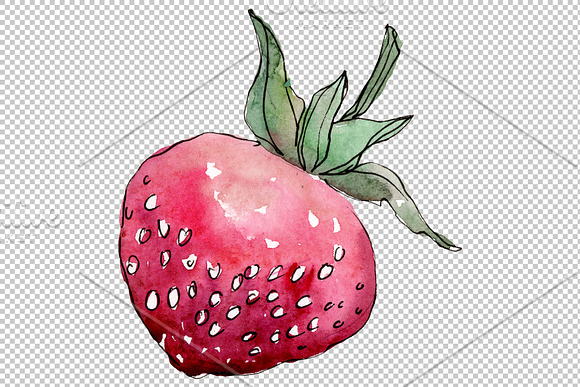 Strawberry "Gigantella" watercolor in Illustrations - product preview 2