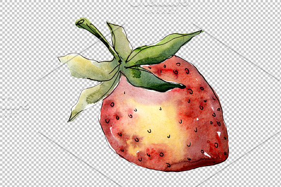 Strawberry "Gigantella" watercolor in Illustrations - product preview 3