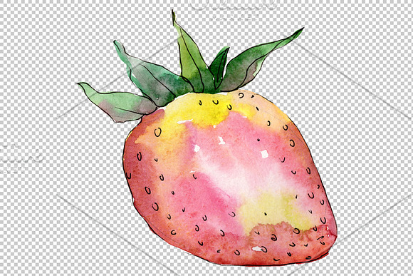Strawberry "Gigantella" watercolor in Illustrations - product preview 4