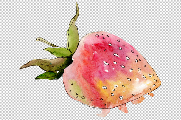 Strawberry "Gigantella" watercolor in Illustrations - product preview 5