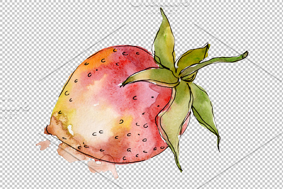 Strawberry "Gigantella" watercolor in Illustrations - product preview 6