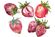Strawberry cultivar "Malvina"