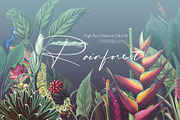 Rainforest Tropical Pattern set!