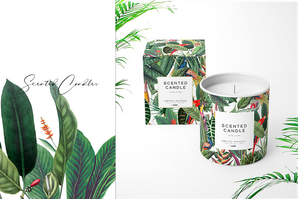 Rainforest Tropical Pattern set! in Patterns - product preview 5