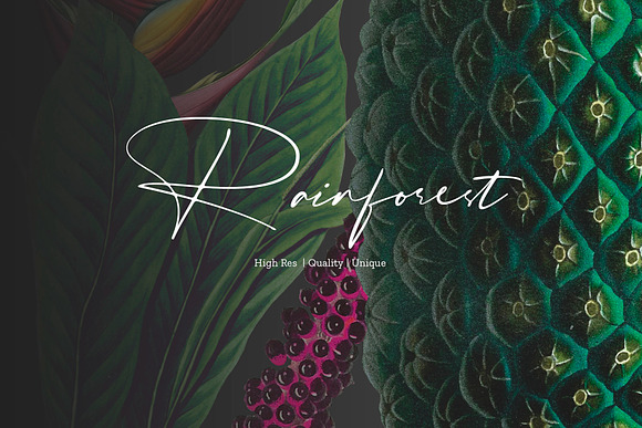 Rainforest Tropical Pattern set! in Patterns - product preview 6