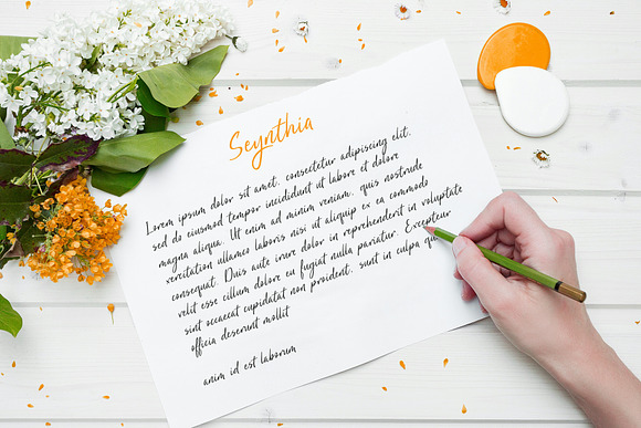 SignPink in Script Fonts - product preview 2