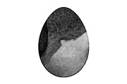 Grunge Isoalted Egg