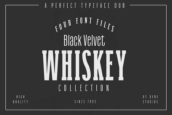 Font Bundle: 80+ professional fonts in Professional Fonts - product preview 15