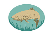Spotted or speckled Trout swimming