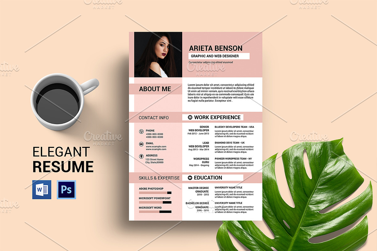 Minimal Resume - V47 in Resume Templates - product preview 8