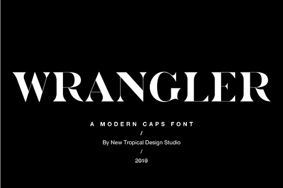 The Chic & Unique Modern Font Bundle in Display Fonts - product preview 3