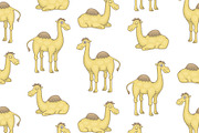 Set of Camels and Pattern