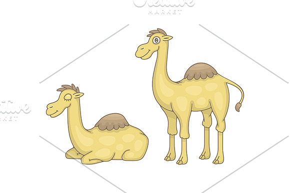 Set of Camels and Pattern in Illustrations - product preview 1