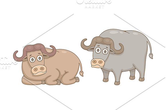 Set of Buffalos and Pattern in Illustrations - product preview 1