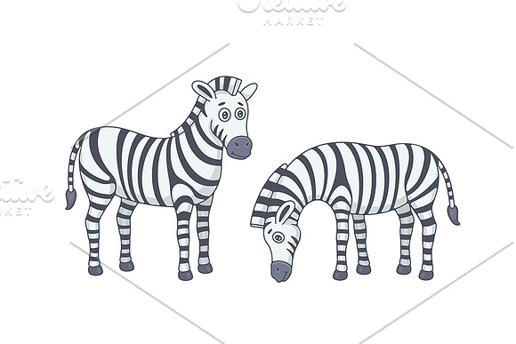 Set of Zebras and Pattern in Illustrations - product preview 1