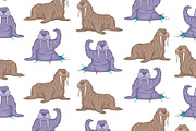 Set of Walruses and Pattern