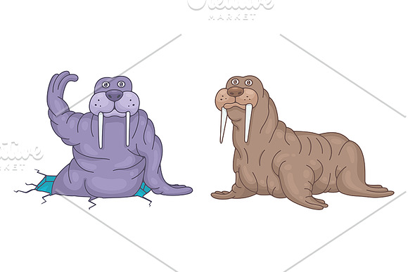 Set of Walruses and Pattern in Illustrations - product preview 1