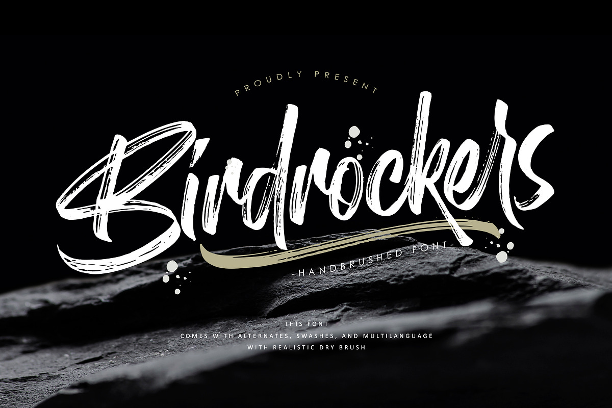 Birdrockers || Realistic Brush Font in Script Fonts - product preview 8