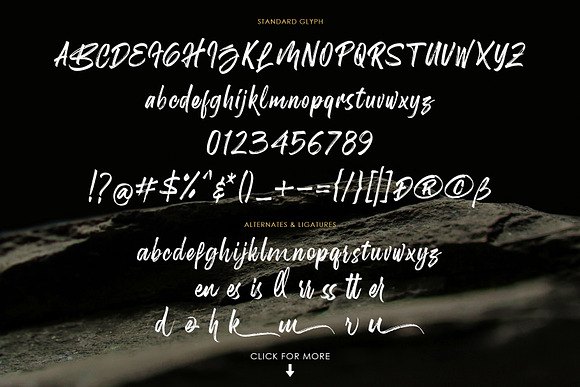Birdrockers || Realistic Brush Font in Script Fonts - product preview 2