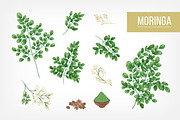 Moringa, Miracle Tree bundle