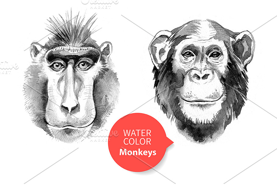 Watercolor Monkeys New Year Set in Illustrations - product preview 8