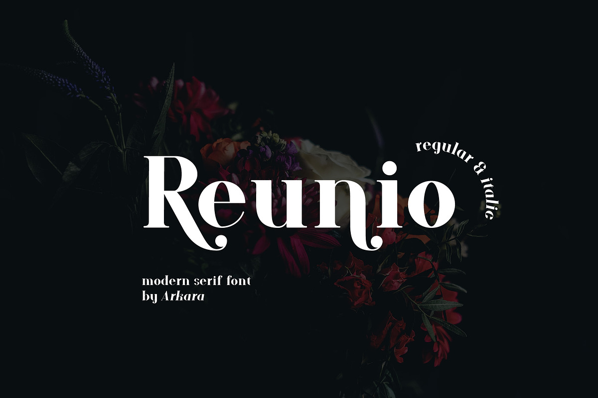 ARK Reunio - Modern Serif Font in Serif Fonts - product preview 8
