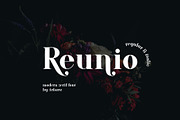 ARK Reunio - Modern Serif Font