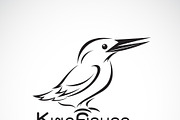 Vector of kingfishers bird. Animal.