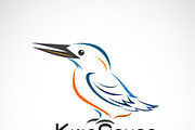 Vector of kingfishers bird. Animal.