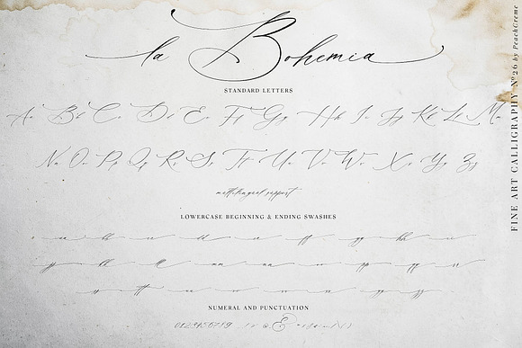 La Bohemia // Fine Art Calligraphy in Script Fonts - product preview 9