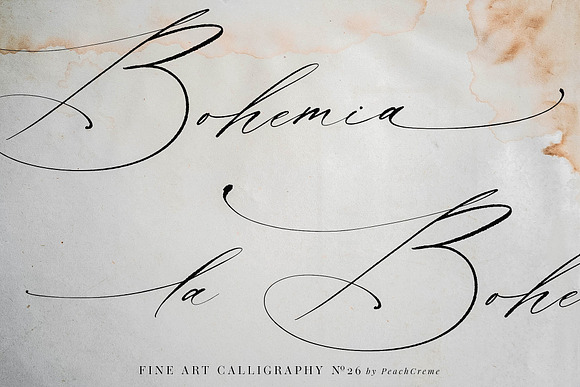 La Bohemia // Fine Art Calligraphy in Script Fonts - product preview 11