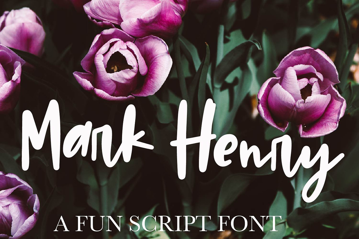 Mark Henry - A Hand Lettered Font in Display Fonts - product preview 8