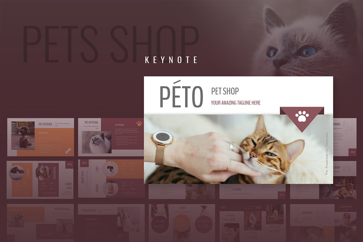 Peto - Pet Shop Keynote Presentation in Keynote Templates - product preview 8
